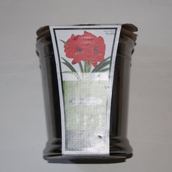 Smith & Hawken Amaryllis Ceramic Planter with Coco Fiber - Silver - Picture 3 of 5